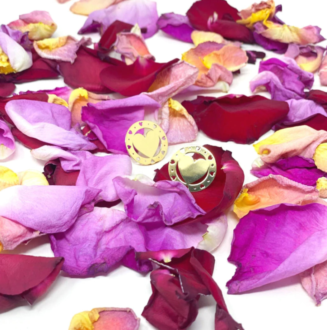 ELSKER COIN EARRINGS