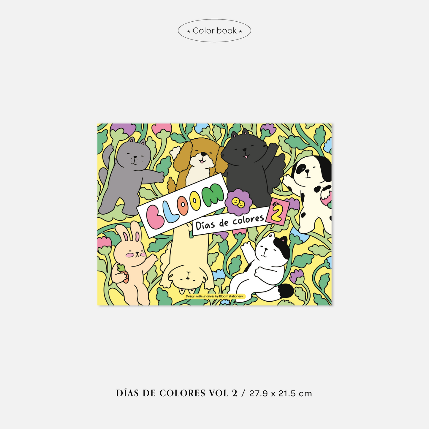 COLORBOOK: DÍAS DE COLORES VOL.2