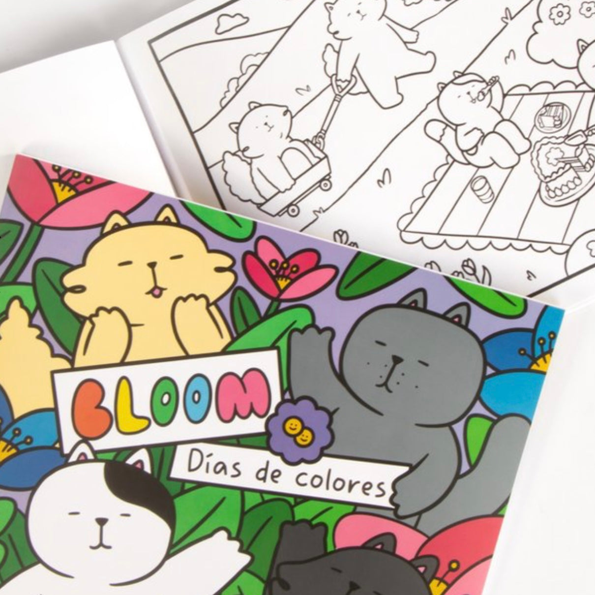 COLORBOOK: DAYS OF COLORS